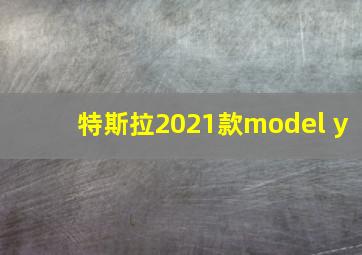 特斯拉2021款model y